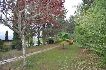 Querceto Apartment Reggello